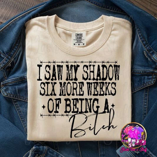 I Saw My Shadow