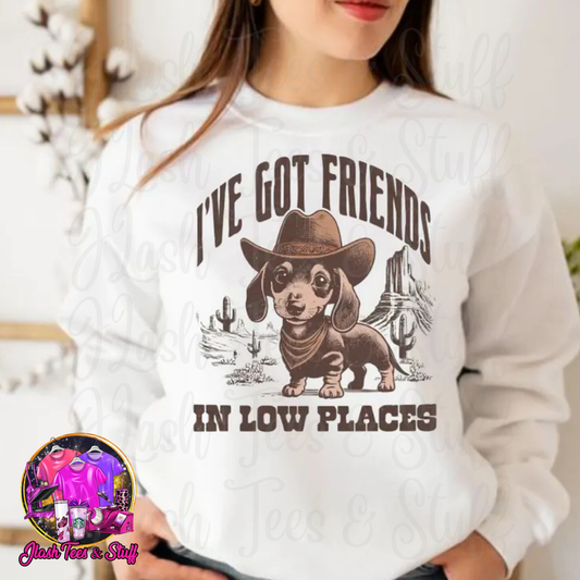 I've Got Friends In Low Places