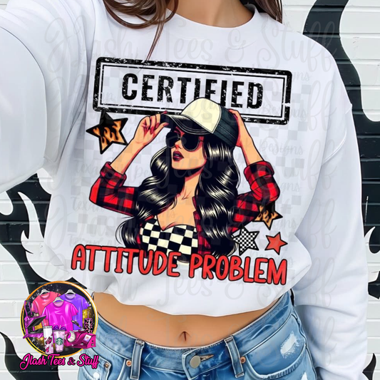 Certified Attitude Problem